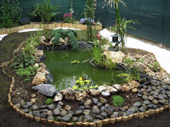 Jardin aquatique Bassin décor Jardin