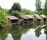 Lavoirs de Brou sur rivière Ozanne