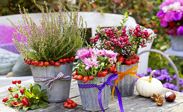 balcon en automne